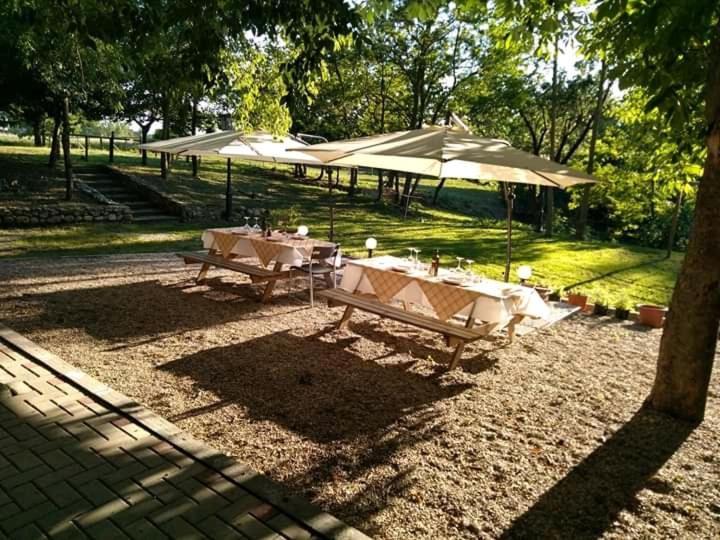 Agriturismo Molino Nuovo Кастель-Сан-П'єтро-Терме Екстер'єр фото